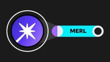 MER Coin