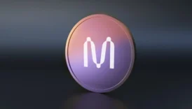 Mina Coin